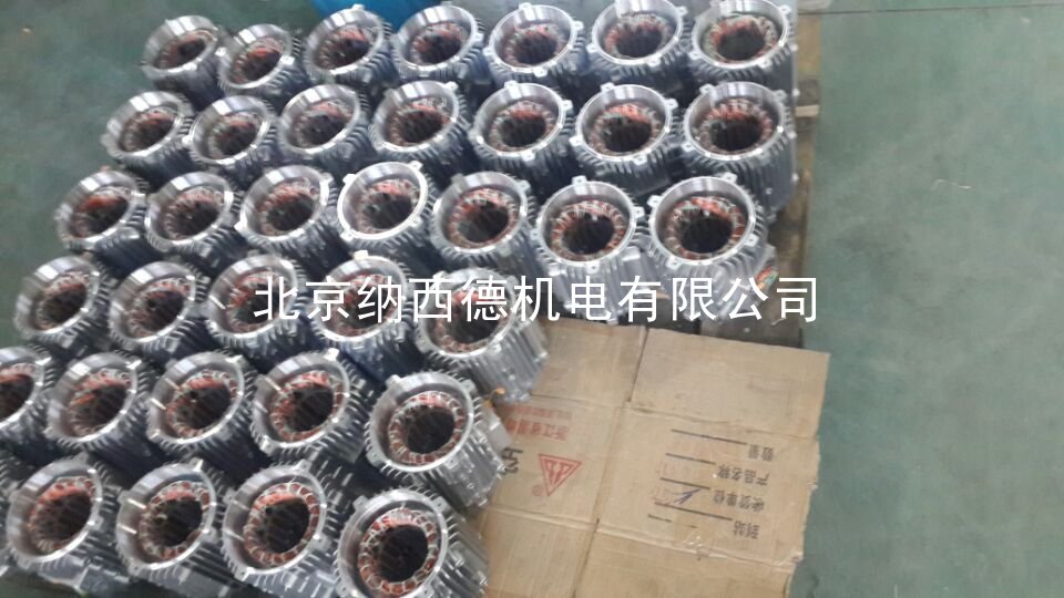 漩渦氣泵的防護(hù)等級(jí)